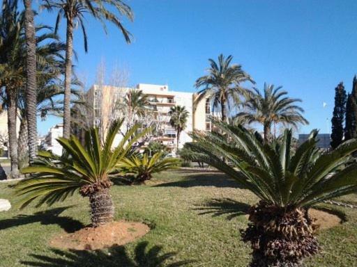 Primera Linea En Playa Sur. Plaza Constitucion Peñíscola Kültér fotó